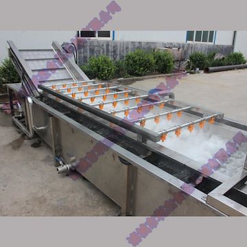 山楂清洗機(jī) 全自動蔬菜清洗機(jī)